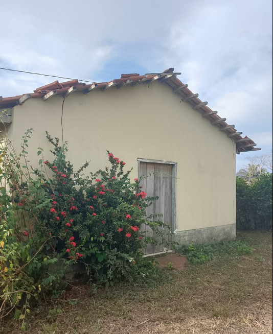 Prelazia de Alto Xingu